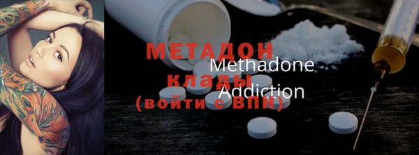 прущие грибы Алексин