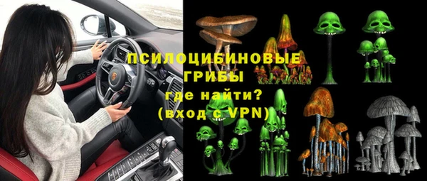 прущие грибы Алексин